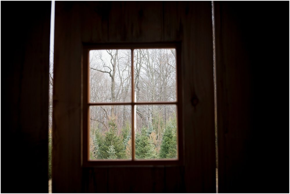 It was so cozy and warm in this barn, and the trees looked so lovely out the barn door!