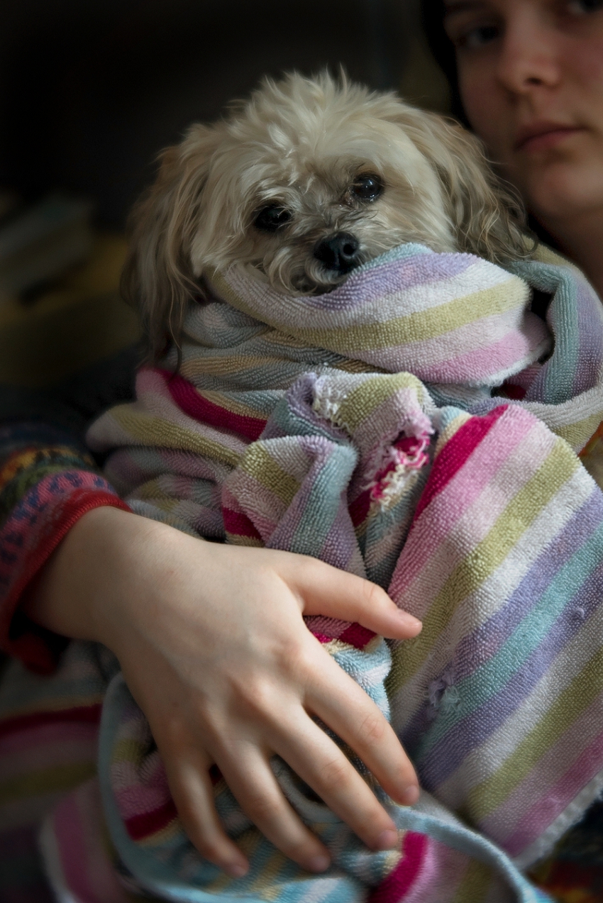 Zuzu is not a fan.... home to get all warmed up with her girl.