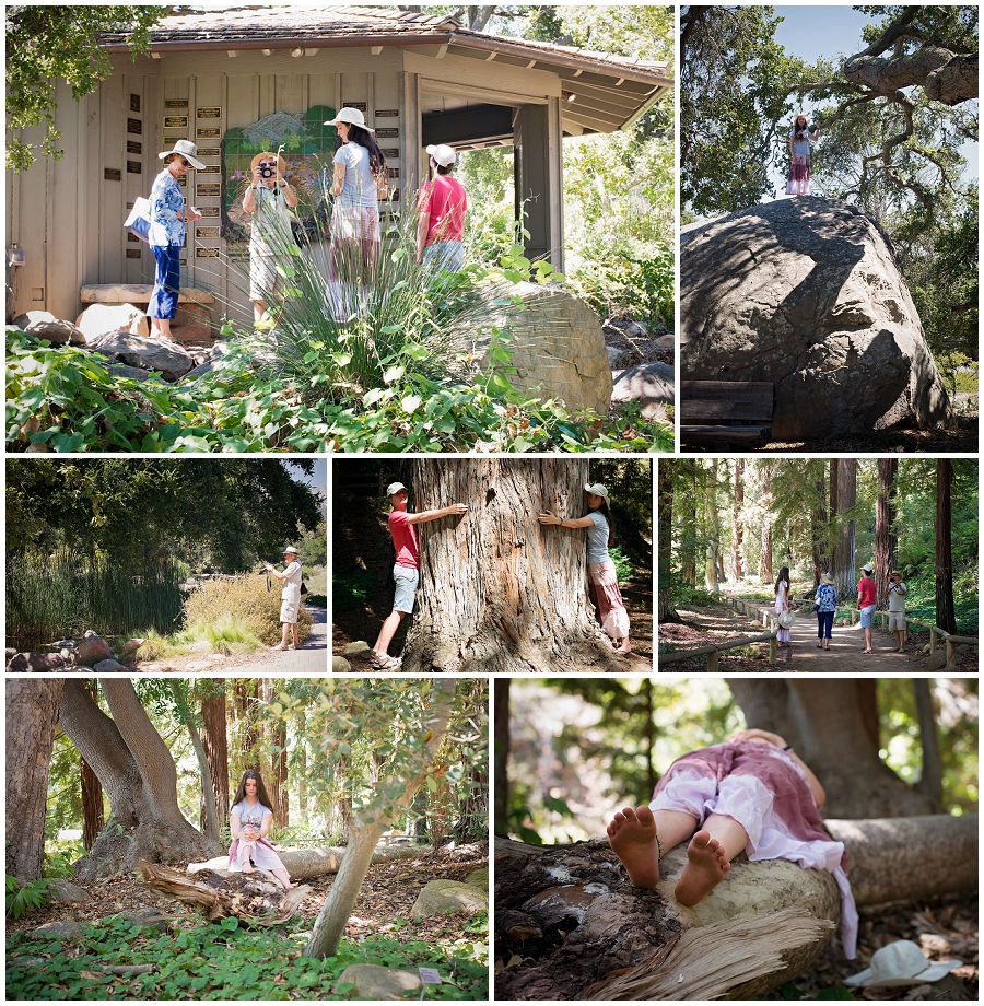 Botanical Gardens, and the kids first sighting of a coastal redwood tree. &nbsp;http://www.sbbg.org/