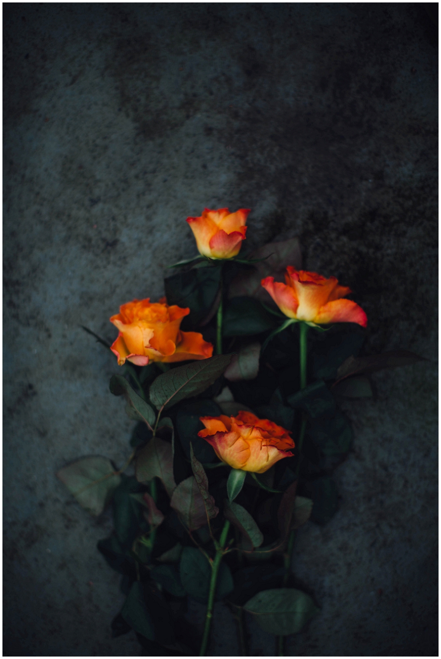 Lili Love Photography 