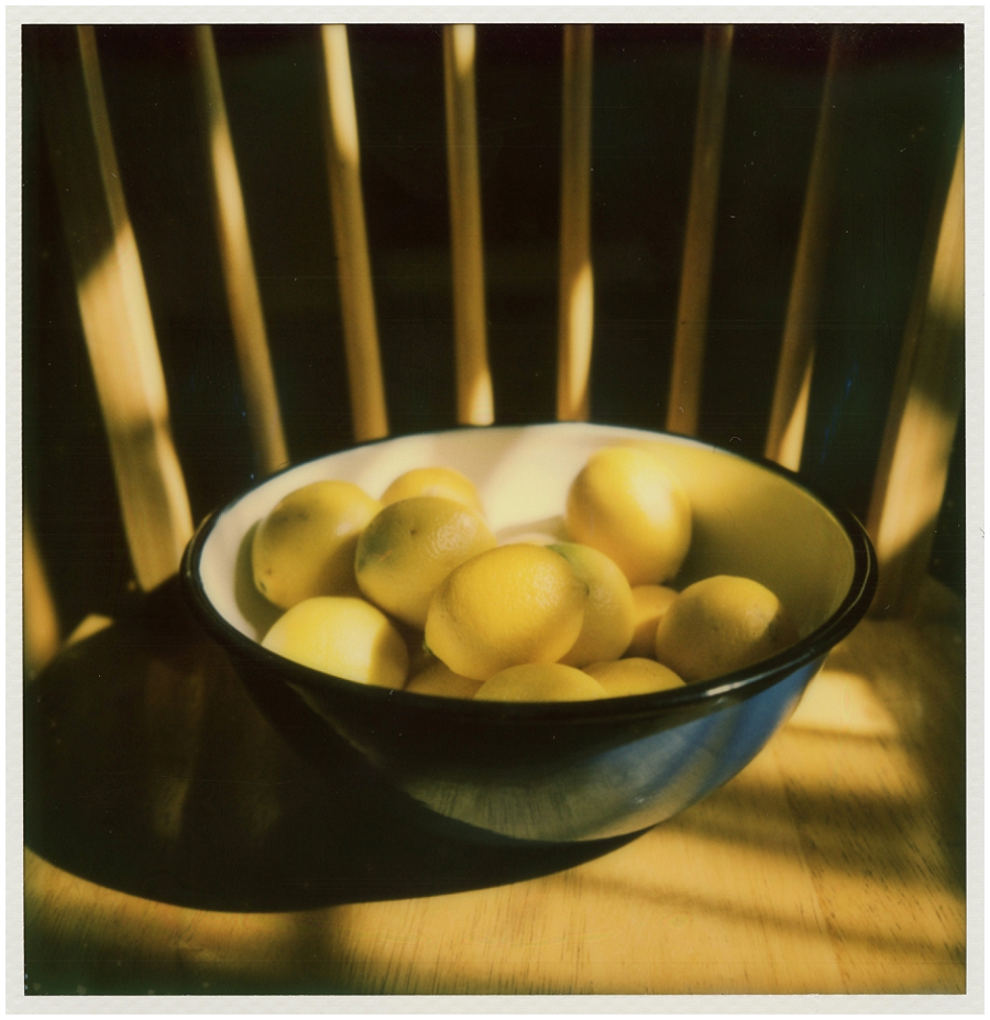 Phyllis Meredith Photography 