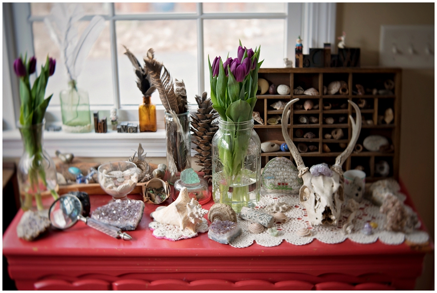 Phyllis Meredith Photography 