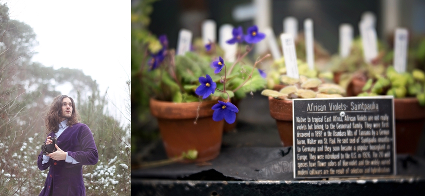 Lili Love Photography Left Image Phyllis Meredith Right Image 