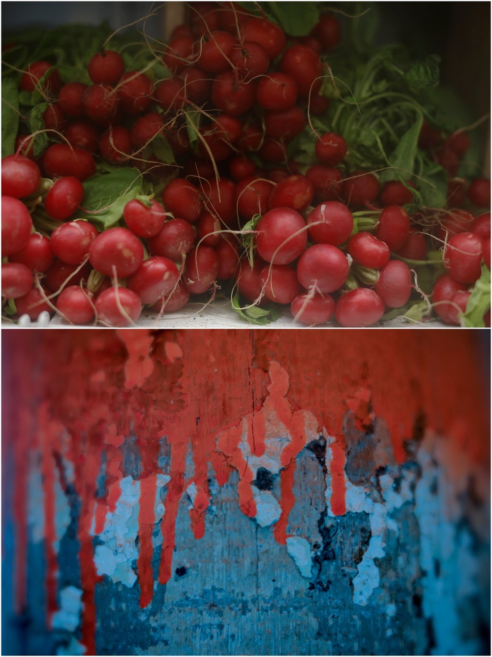 Lili Love Photography Top Image Phyllis Meredith Photography Bottom Image 