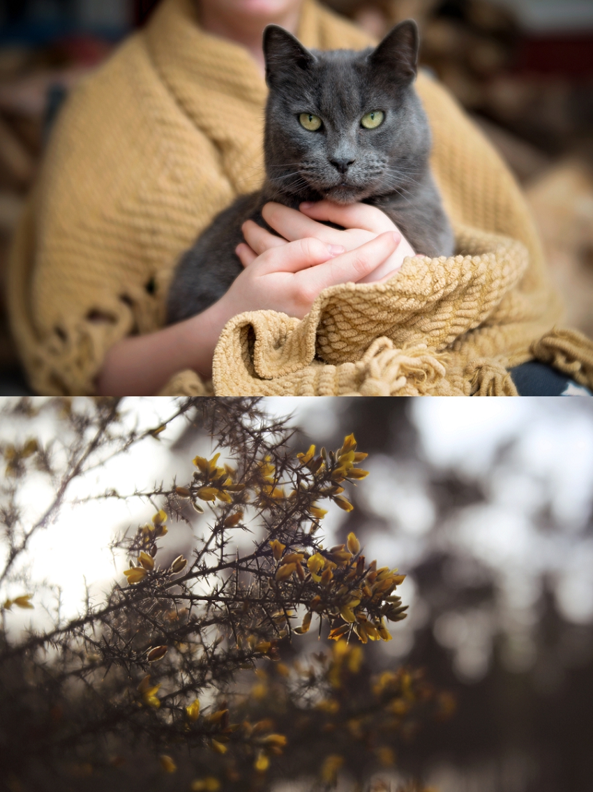 Phyllis Meredith Photography Top Image Lili Love Photography Bottom Image